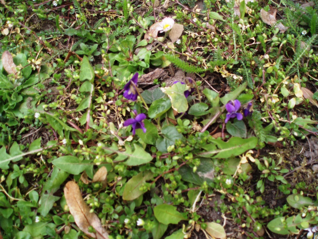 P3270053