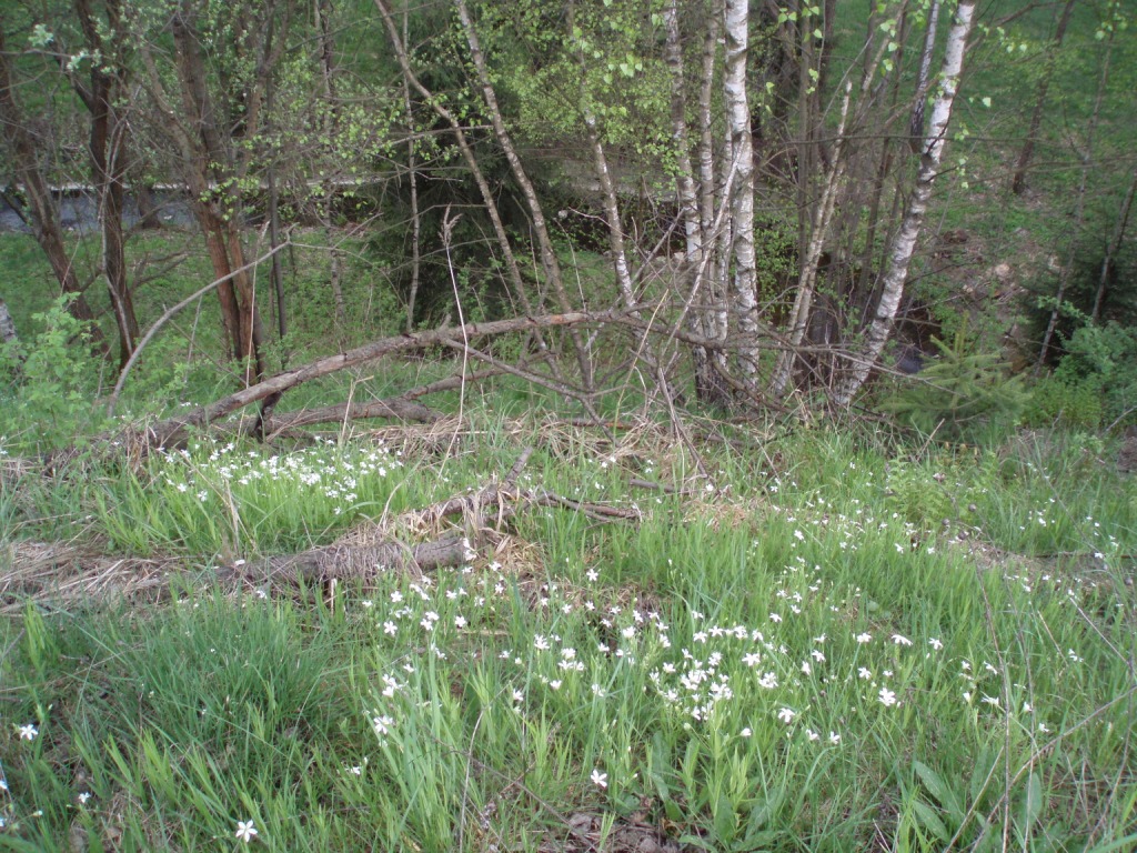 P4300051