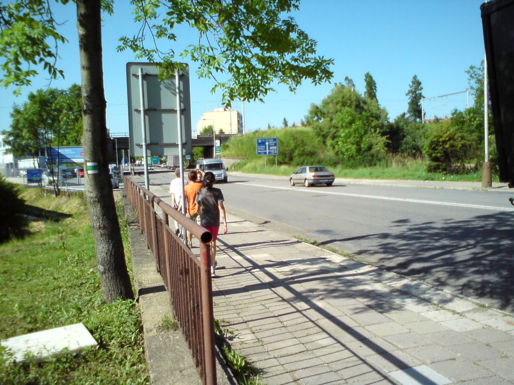 DSC00354
