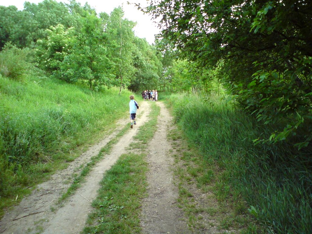 DSC00403