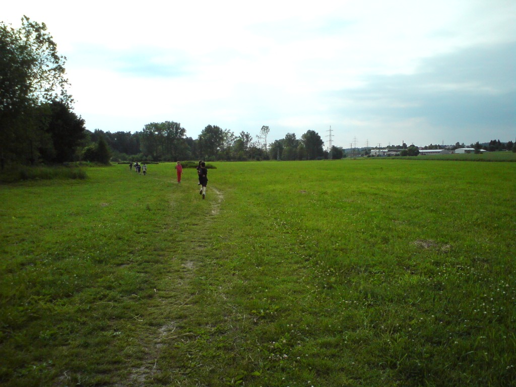 DSC00408