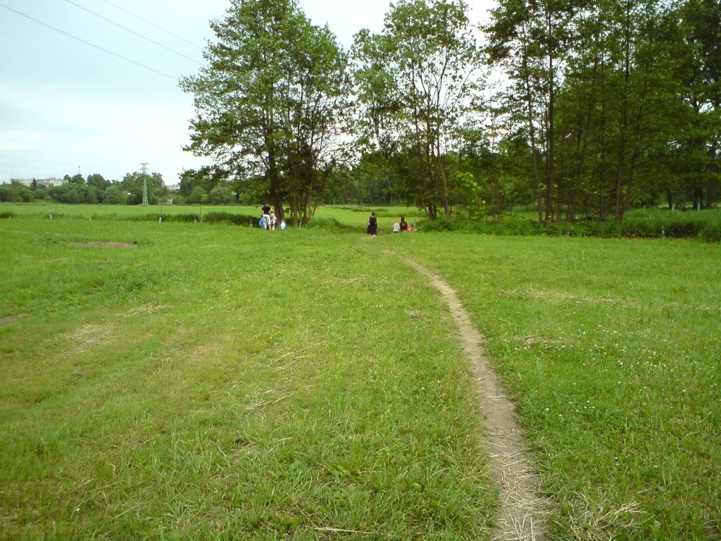 DSC00417
