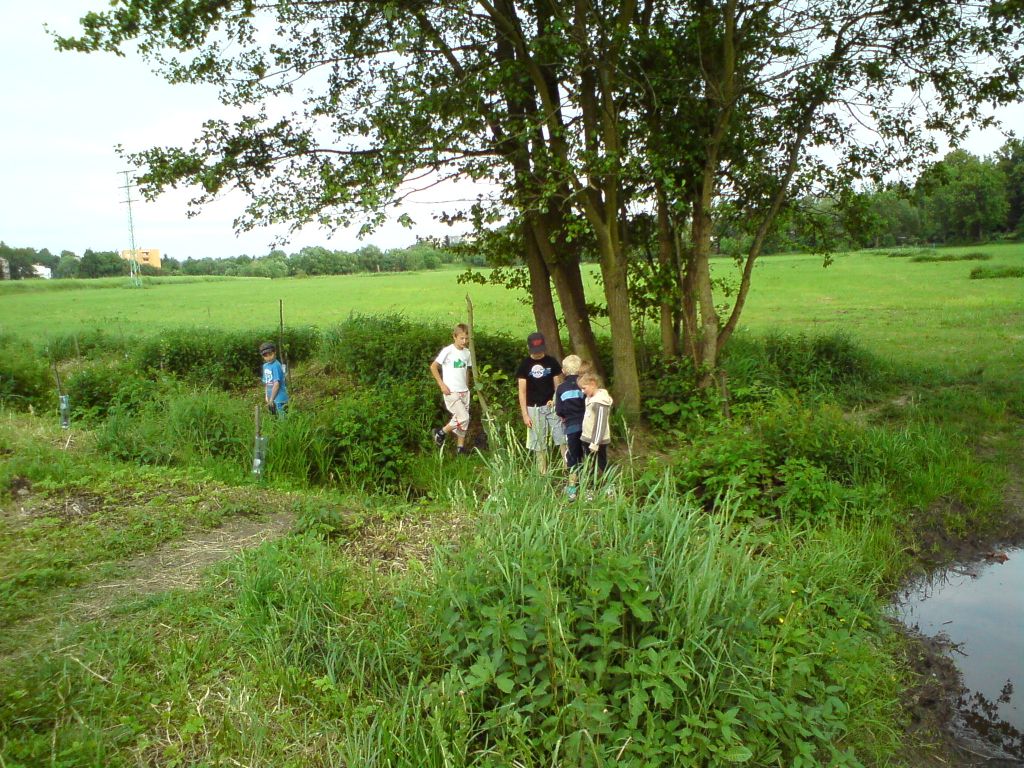 DSC00418