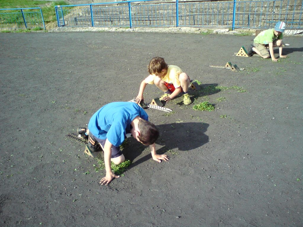 DSC00454