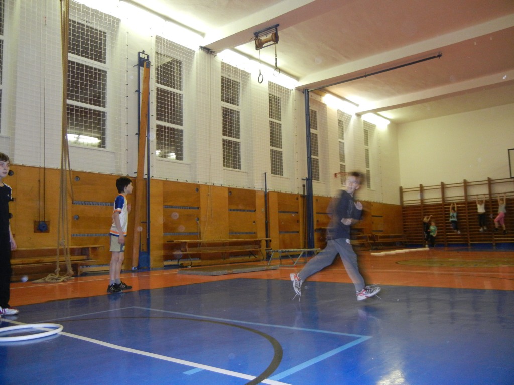 sport 283