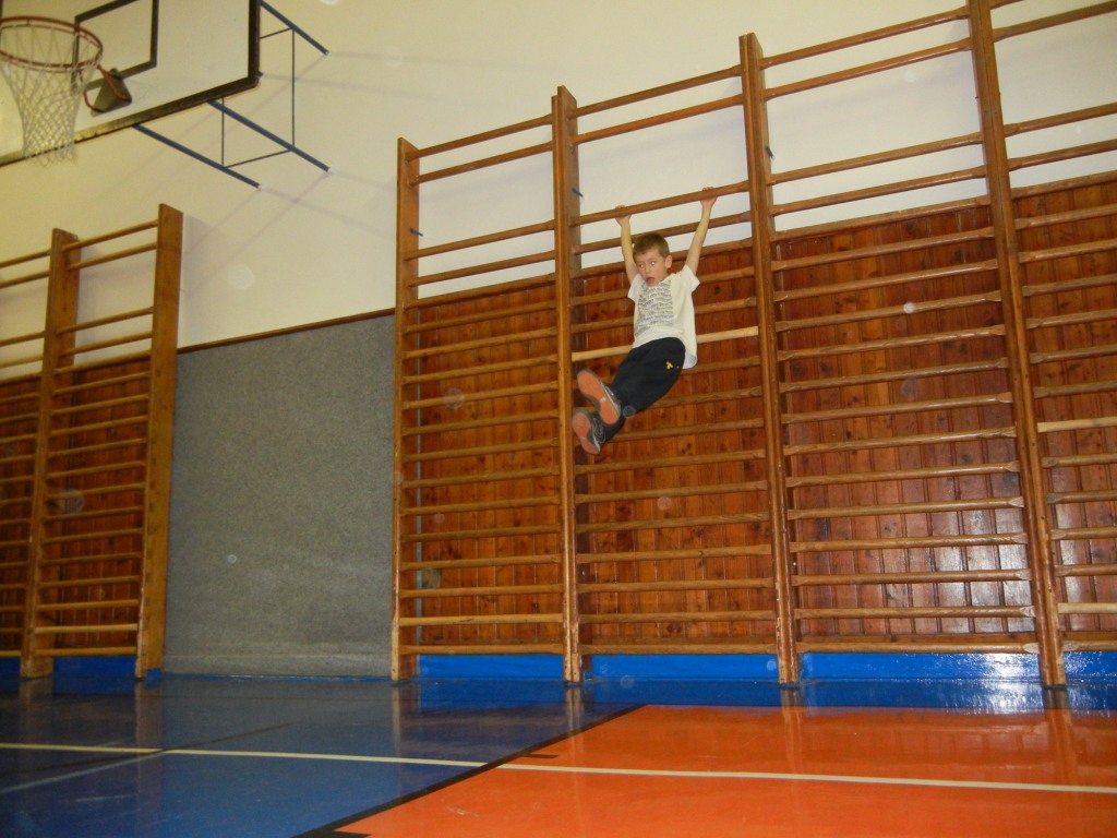 sport 290
