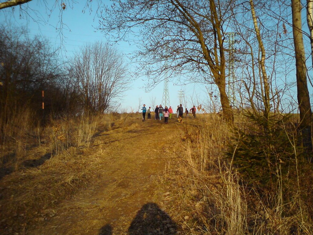 DSC00215
