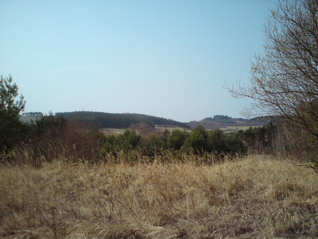 DSC00241