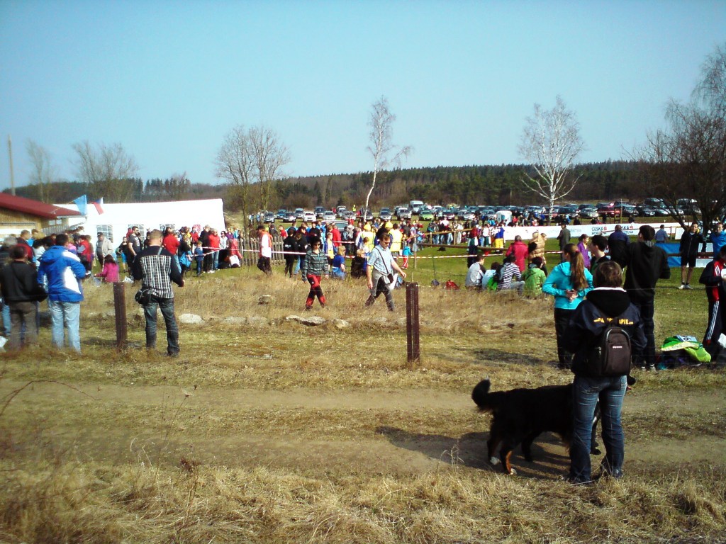 DSC00243