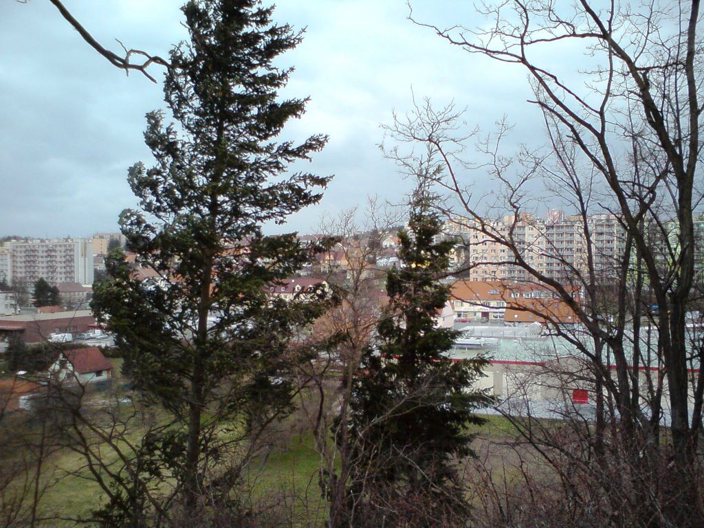 DSC00407