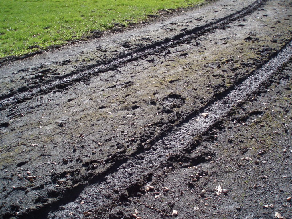p4220122
