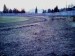 DSC00238