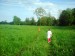dsc00220